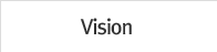 Vision